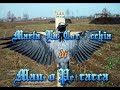  Marta la cornacchia Mauro Petrarca Barnabo il poeta cimiteriale factor Morgan