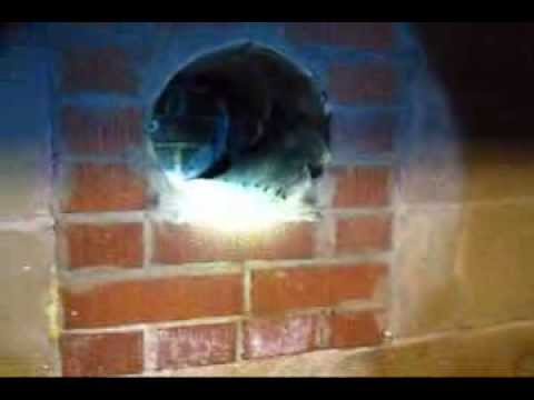 how to vent a pellet stove through a wall