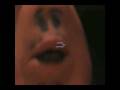 videos de Dont eat goldfish!
