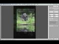 videos de Canon Digital Photo Professional Tutorial - Bildausschnitt-Werkzeug (11/20)