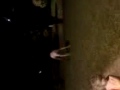 Dika McGhehey - Jackass Dika McGhehey - Jackass