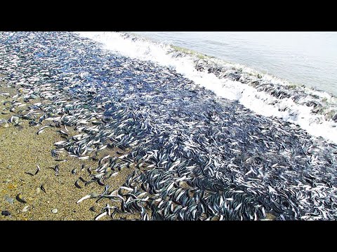 इन 07 घटनाओ ने वैज्ञानिको के भी होश उड़ा दिए | 07 Most Unique Natural Phenomena In The World