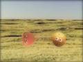 In my life - Beatles