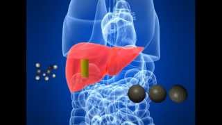 Ethanol (drinking Alcohol) Side Effects On Human Body