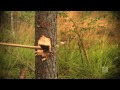 Click here to watch this video Talent Finland 2009 - Teaser 2/4