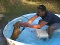 Caplin Rous plays in Pool with Sheldon