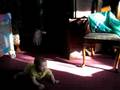 Ayden laughts at cats
