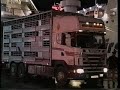tiertransportunfall auf fähre teil 2