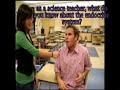 the endocrine system part1 of 2