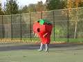 The Annexe Healthy Living Centre - Tennis Strawberries The Annexe Healthy Living Centre - Tennis Strawberries