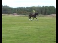 Twist 090916kort