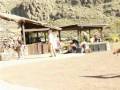 Palmitos Park: Birds of Prey Show