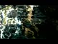 Lifelike and Kris Menace - Discopolis