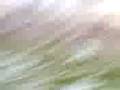 Ice Pitch