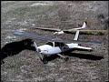 RC airplanes. Cesna 182 by Multiplex, Raptor 1989 Sold by HobbyLobby. Bird attacks the Cesna!