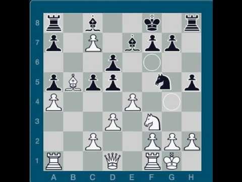 chess computer