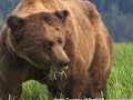 Appeal to BP Investors to Stop Mist Mountain CBM