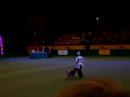 Crufts 2008 - Heelwork to Music 9 (2)