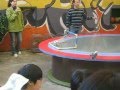 Parrots fetch money from audience