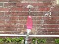 Water balloon bursting in slow motion Water balloon bursting in slow motion