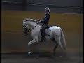 Abalorio Part 1 - great P.R.E-stallion for sale