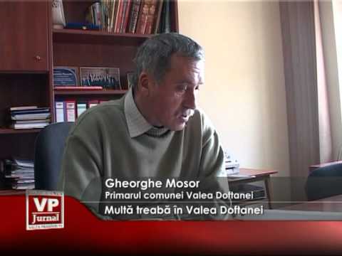 Multă treabă în Valea Doftanei