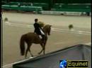 Dressage-I Werth & Warum Nicht CDI Rotterdam07 GP Dressage-I Werth & Warum Nicht CDI Rotterdam07 GP