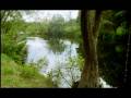 videos de tapia oct2008_CD.mov