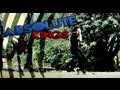 Flavio Martins  ‹ Absolute KINGS ›