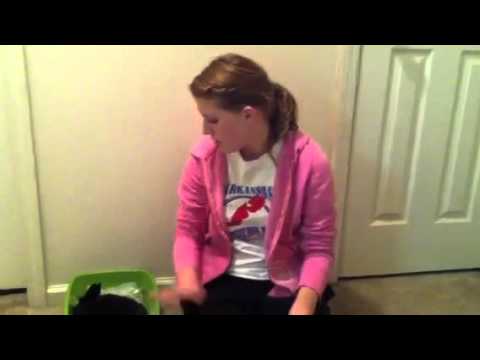 how to train potty train a bunny