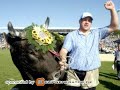 Schwingen (cool Pics)
