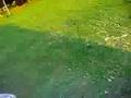MY POOL FLOODED!