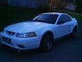 Cobra Mustang.. Just Pics! Cobra Mustang.. Just Pics!