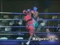 boxeo oso