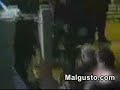 boxeo oso