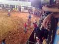 videos de Rodeio Em Duartina 2