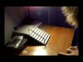 videos de Best Mini.