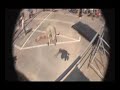 3Run - Ukraine - Only Action