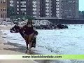 big beautiful black woman walking by the sea