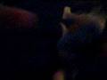 videos de Golf 27 1/2