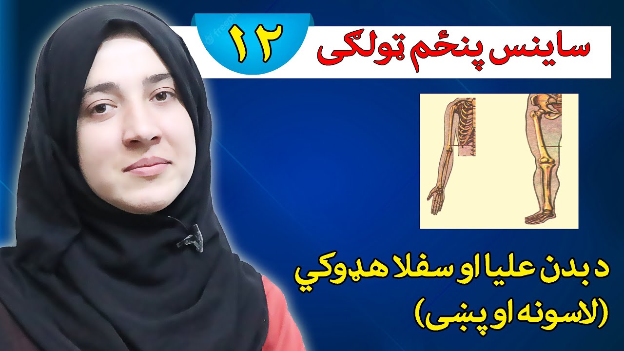 Class 5 - Science | Upper and lower bones | What are the functions of the upper and lower bones?