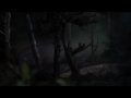 Mastering Bambi