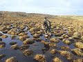 Clan 91 -  Las zamburguesas I en Arija