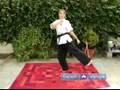 Koden Kan Karate Moves for Beginners : Back Heel Stomp Kick in Koden Kan Martial Arts
