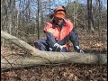 Cut a Tree Down Safely Part 2. Bucking & Cutting