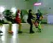 Los Gansos en Accion,,!!