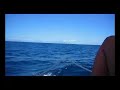 1 year long honeymoon on yacht podrozposlubna na jachcie