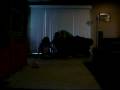 random dancing!!!!! (ya dig it)