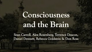Consciousness and the Brain: Sean Carroll et al
