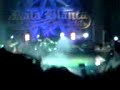 etiqueta negra en concer de rata blanca